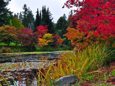VanDusen Garden