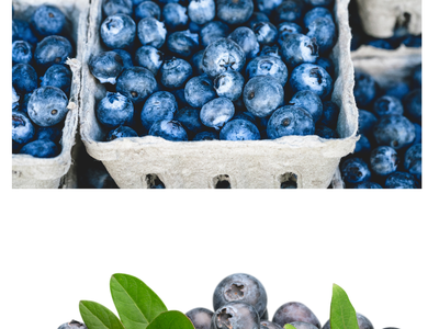 blueberries by the quart