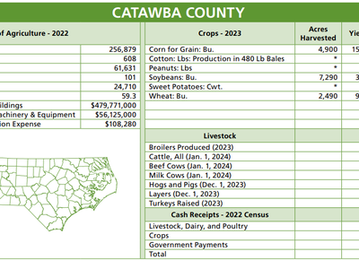Catawba County agriculture census table 2022 with crops, livestock, cash receipts and map
