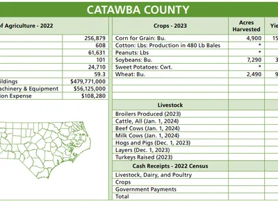 Catawba County agriculture census table 2022 with crops, livestock, cash receipts and map