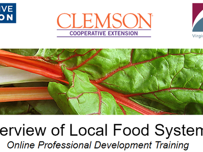 Overview of Local Food System Development