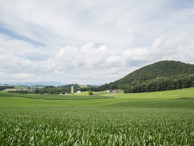 Green cornfield with distant farm buildings, a silo, rolling hills and cloudy sky