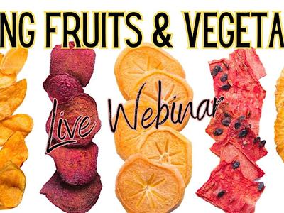 DRYING FRUITS & VEGETABLES - Live Webinar; assorted dried fruit slices