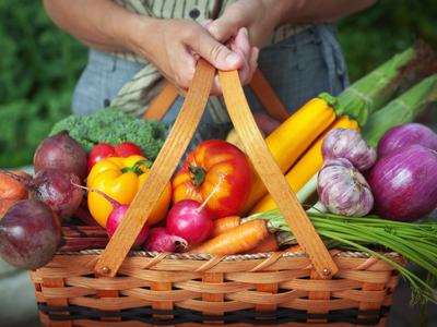 Hands holding a wicker basket filled with assorted fresh vegetables