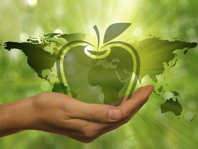 Hand holding transparent apple-shaped globe showing world map