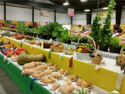 state fair veggies