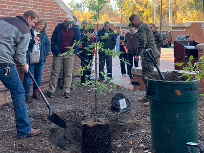 A group of people plant a tree together.