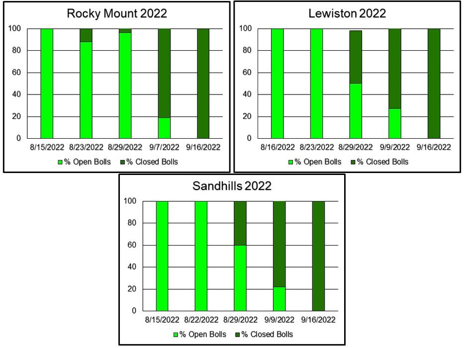 Open bolls by date by region in 2022.