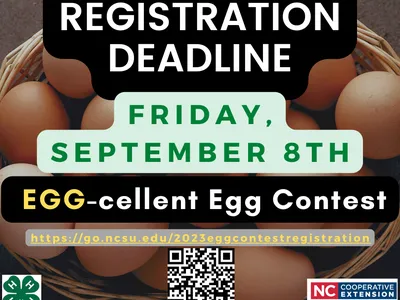 Basket of eggs; text: Registration deadline Friday, September 8th; EGG-cellent Egg Contest