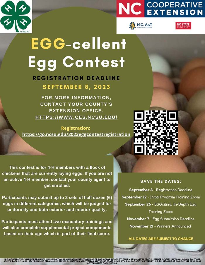 Egg-cellent Egg Contest