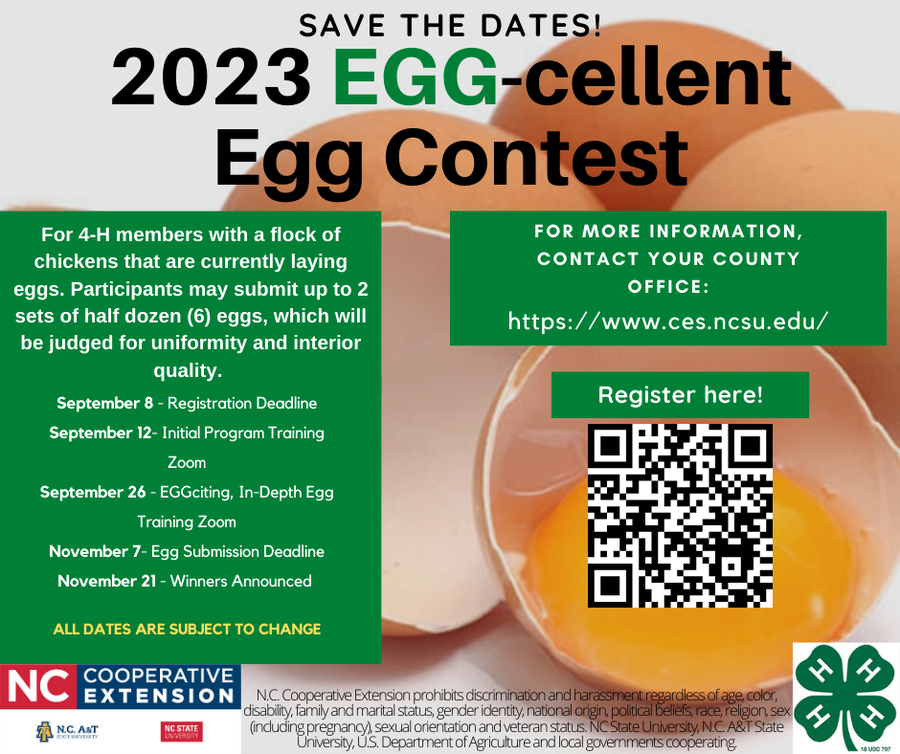This program is for 4-H members in participating counties with a flock of chickens that are currently laying eggs. Participants may submit up to 2 sets of half dozen (6) eggs, which will be judged for uniformity and interior quality. Youth ages 5-18 with chickens are encouraged to participate in the Egg-cellent egg competition! IMPORTANT DATES September 8 or Before – Register for the competition September 12 – Watch the initial training live or recorded, 5:30 p.m.; The Zoom link will be emailed to all registered participants. September 22 – Pay a $15 registration fee (includes awards, and a t-shirt) to Hoke County 4-H Attn: Cathy James, 645 East Palmer Street, Raeford, NC 28376 September 26 – Watch the In-depth training live or recorded; The Zoom link will be emailed to all registered participants. November 7 – Submit the educational, supplemental portion. November 7 – OR BEFORE – Submit 6 eggs for judging to your County Extension Center (Check with your county office for their deadline) November 21 – Watch the awards Zoom to celebrate your hard work
