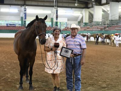 Woman holding plaque and glass beside man and horse in indoor riding arena