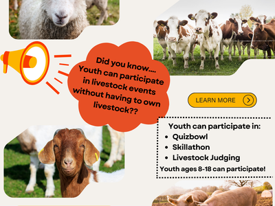  Youth Livestock Opportunities poster