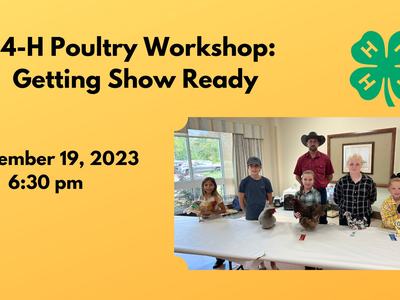 Poultry Workshop: Getting Show Ready