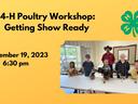 Poultry Workshop: Getting Show Ready