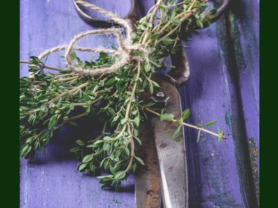 thyme