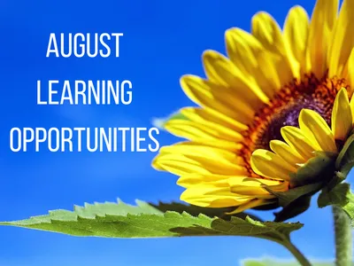 Sunflower against blue sky with the words August Learning Opportunities