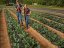 Two young farmers standing in cabbage rows holding hoes with mountains behind