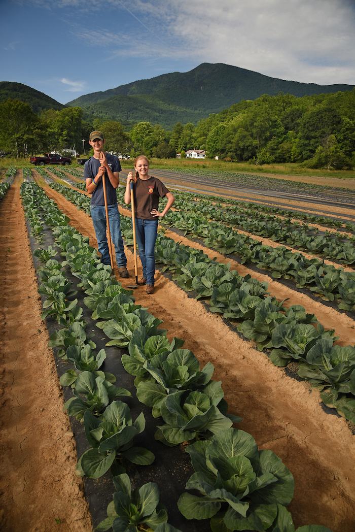 Two young farmers standing in cabbage rows holding hoes with mountains behind