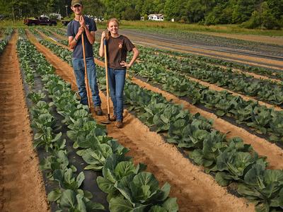 Two young farmers standing in cabbage rows holding hoes with mountains behind