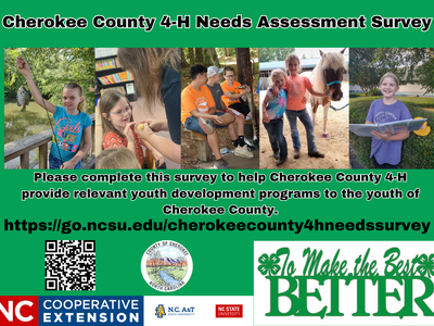 Cherokee County 4-H Needs Assessment Survey — https://go.ncsu.edu/cherokeecounty4hneedssurvey