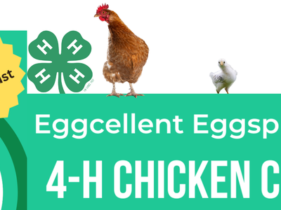 4‑H Chicken Chain banner reading "Eggcellent Eggsplorers" and "Registration Extended Ends August 11th!"