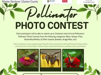 Pollinator Photo Contest poster with logos and three pollinator photos