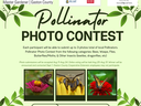 Pollinator Photo Contest poster with logos and three pollinator photos