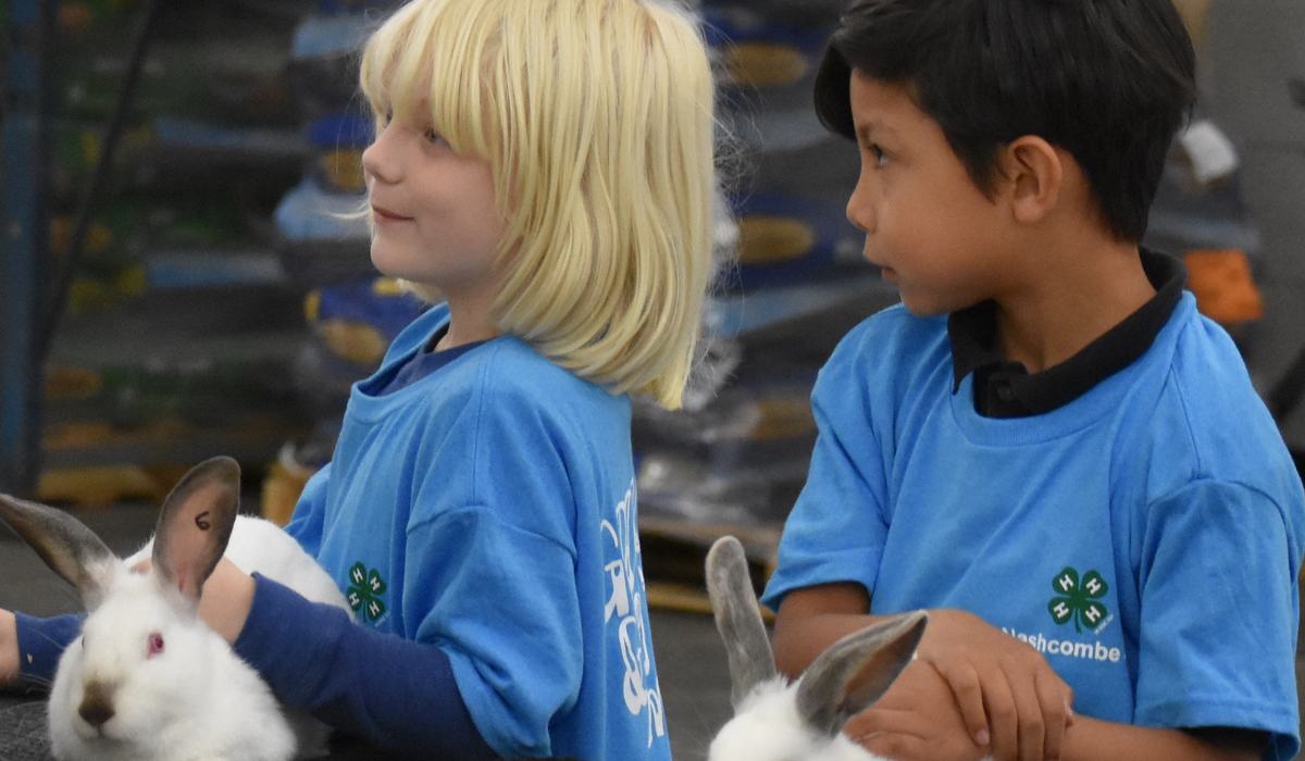 Edgecomb Pod Rabbit 2023 4-H Rabbit Project - Edgecombe County Center | N.C. Cooperative ...