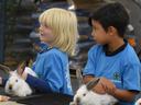 Two children in blue 4‑H shirts each holding a white rabbit on a table