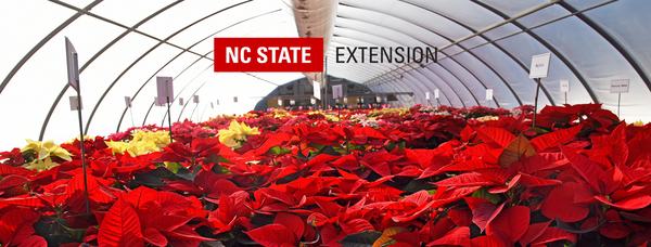 Facebook cover banner template for NC State Extension.