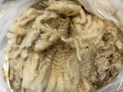 photo of wool