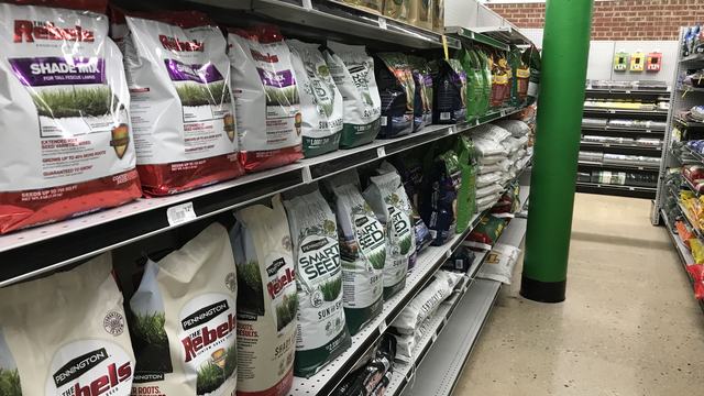 Bags of cool-season turfgrases