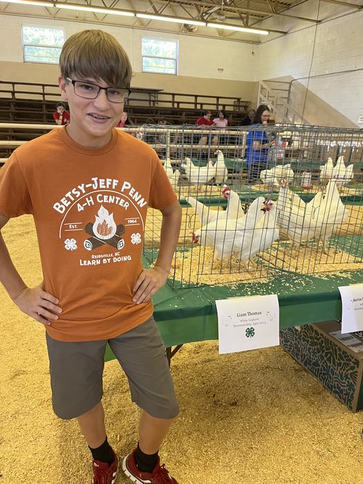 A boy stands beside chickens displayed in a cage.