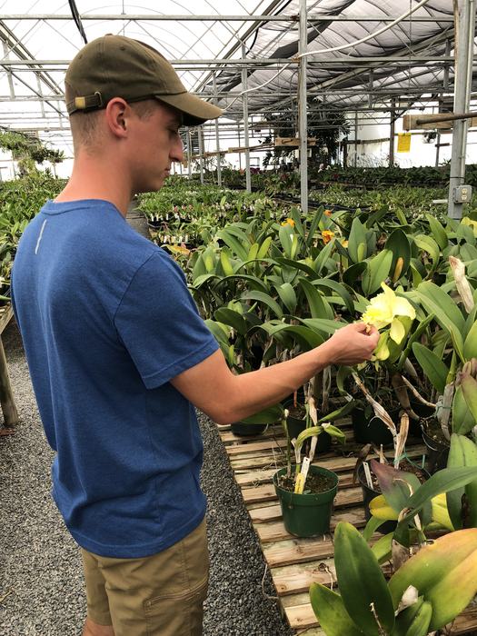 Assistant County Agent Isaac Wyatt