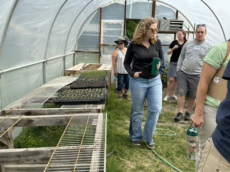 Sungold Farm greenhouse