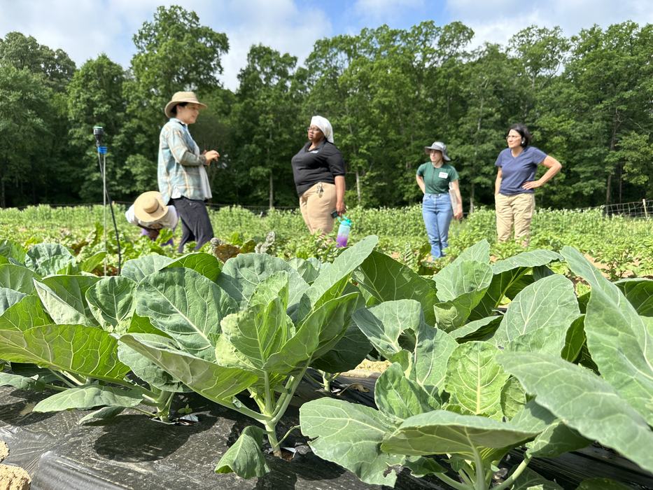 Forsyth County Urban Farm School Field Visit
