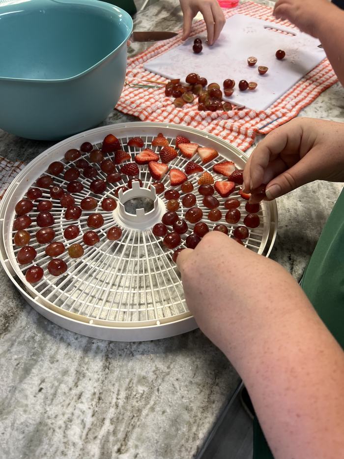 Hands arranging halved grapes and strawberries on a round food dehydrator tray