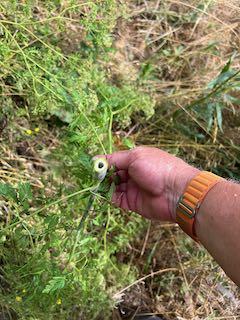 A man holds a hollow branch.