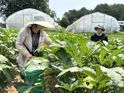 Sungold Farm: Natalie and Celine