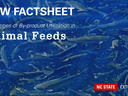 NEW FACTSHEET BANNER IMAGE