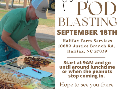 Person sorting peanut pods on a table; text reads "Peanut POD BLASTING SEPTEMBER 18TH"