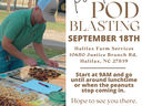 Person sorting peanut pods on a table; text reads "Peanut POD BLASTING SEPTEMBER 18TH"