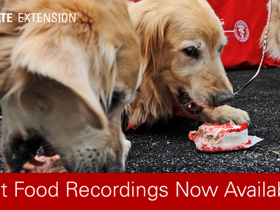Pet Food Recordings Now Available Banner Image