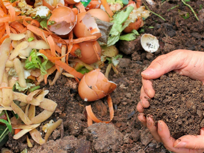 Recovering Food Waste