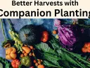 companion planting