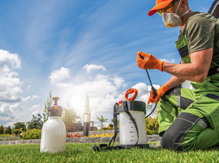 Worker kneeling on lawn wearing mask and gloves while preparing a garden sprayer