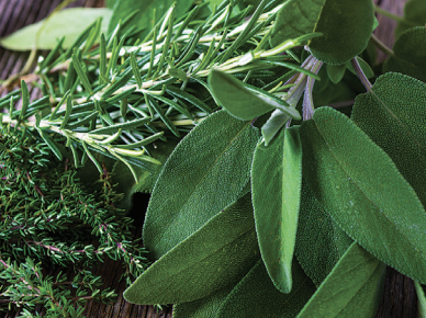 Sage and Rosemary Leaves