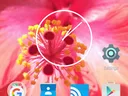 Screen shot of a mobile phone screen
