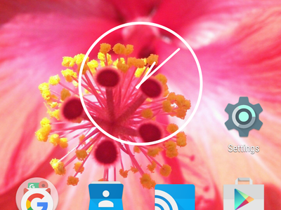 Screen shot of a mobile phone screen